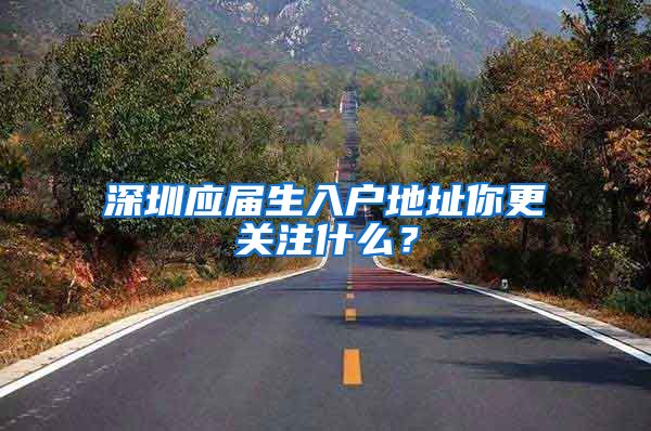 深圳应届生入户地址你更关注什么？