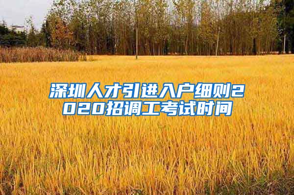 深圳人才引进入户细则2020招调工考试时间