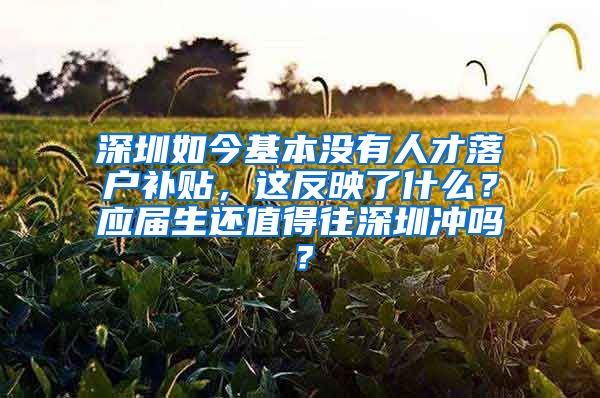 深圳如今基本没有人才落户补贴，这反映了什么？应届生还值得往深圳冲吗？