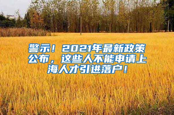 警示！2021年最新政策公布，这些人不能申请上海人才引进落户！