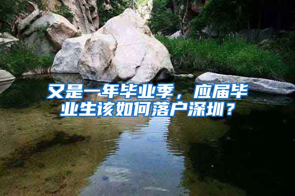 又是一年毕业季，应届毕业生该如何落户深圳？