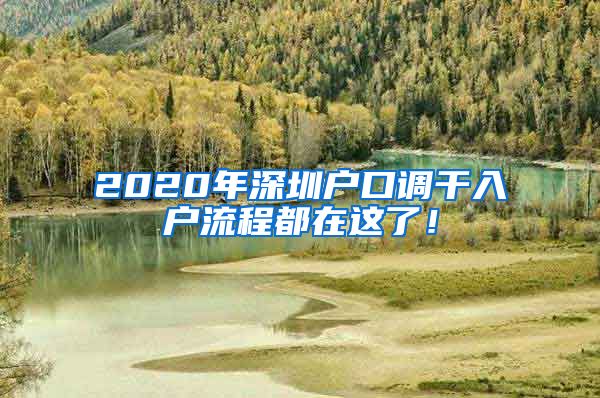 2020年深圳户口调干入户流程都在这了！