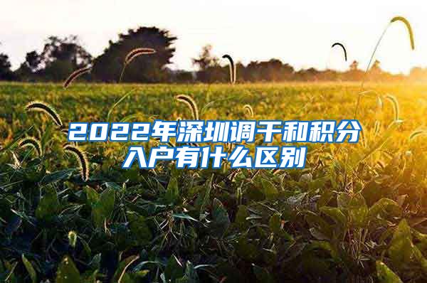 2022年深圳调干和积分入户有什么区别