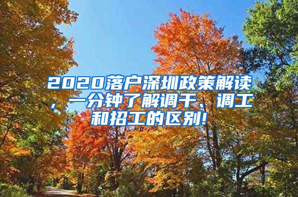 2020落户深圳政策解读，一分钟了解调干、调工和招工的区别!