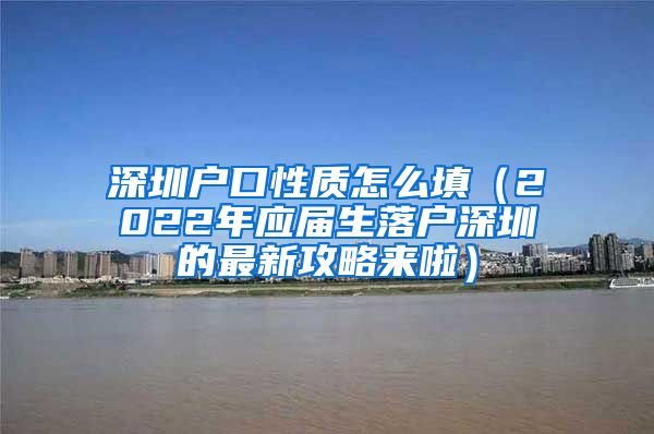 深圳户口性质怎么填（2022年应届生落户深圳的最新攻略来啦）