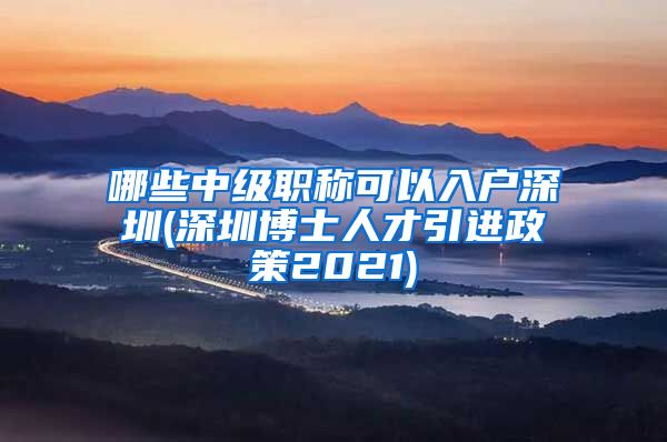 哪些中级职称可以入户深圳(深圳博士人才引进政策2021)