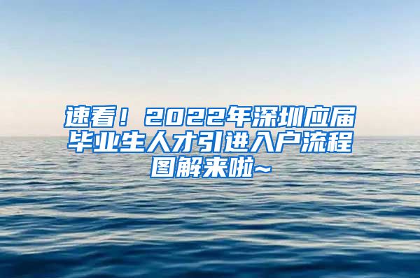 速看！2022年深圳应届毕业生人才引进入户流程图解来啦~