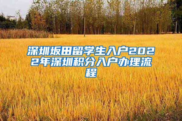 深圳坂田留学生入户2022年深圳积分入户办理流程