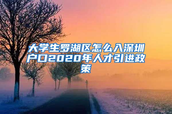 大学生罗湖区怎么入深圳户口2020年人才引进政策