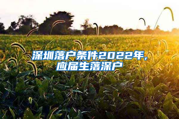 深圳落户条件2022年,应届生落深户