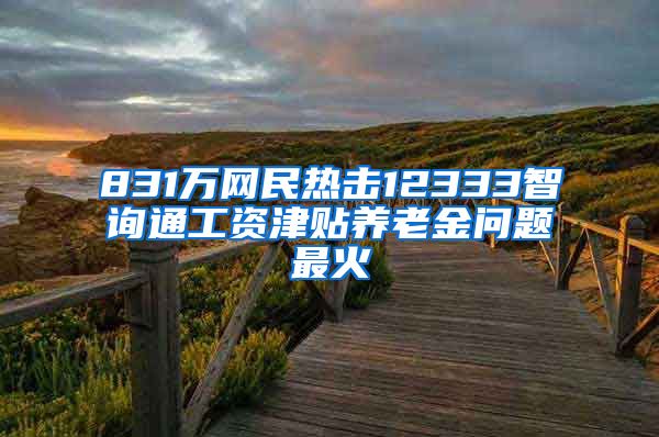 831万网民热击12333智询通工资津贴养老金问题最火