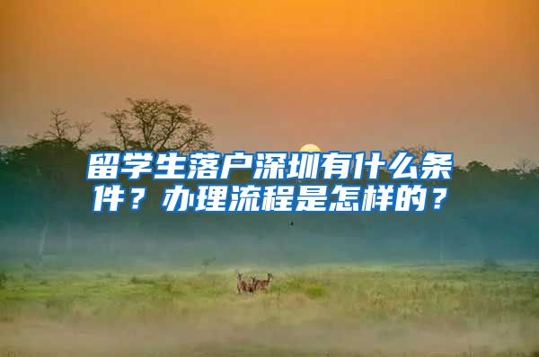 留学生落户深圳有什么条件？办理流程是怎样的？