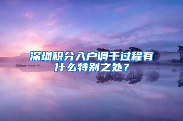 深圳积分入户调干过程有什么特别之处？