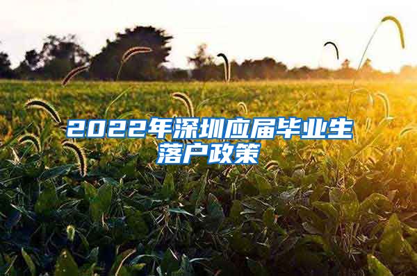 2022年深圳应届毕业生落户政策