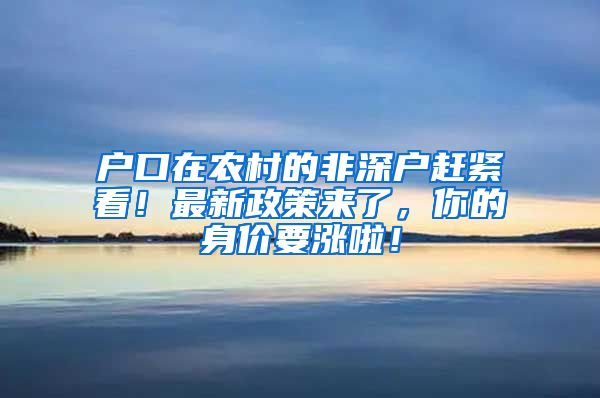 户口在农村的非深户赶紧看！最新政策来了，你的身价要涨啦！