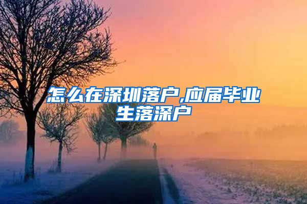 怎么在深圳落户,应届毕业生落深户