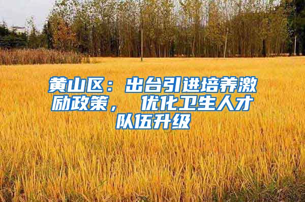 黄山区：出台引进培养激励政策， 优化卫生人才队伍升级