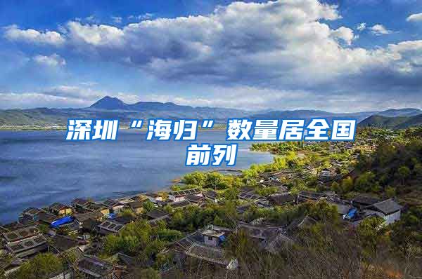 深圳“海归”数量居全国前列