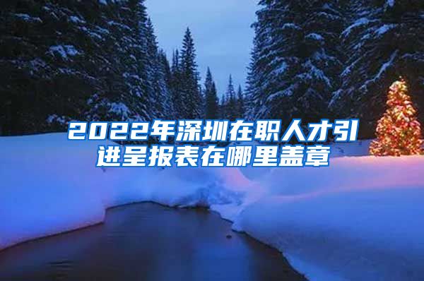 2022年深圳在职人才引进呈报表在哪里盖章