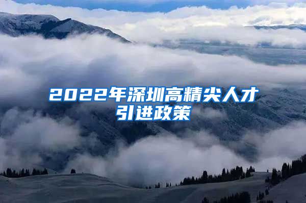 2022年深圳高精尖人才引进政策