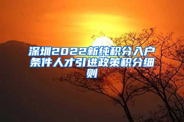 深圳2022新纯积分入户条件人才引进政策积分细则