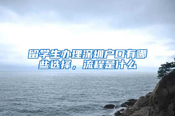 留学生办理深圳户口有哪些选择，流程是什么