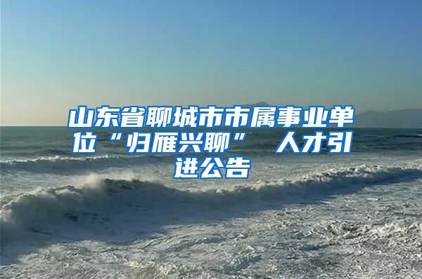 山东省聊城市市属事业单位“归雁兴聊” 人才引进公告