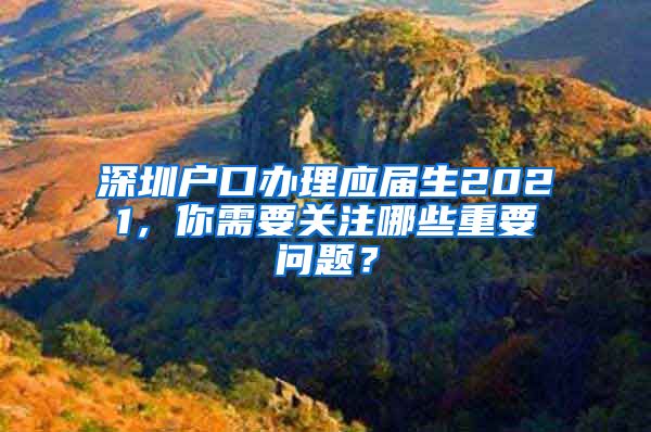 深圳户口办理应届生2021，你需要关注哪些重要问题？