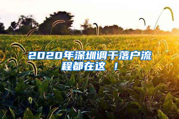 2020年深圳调干落户流程都在这 ！