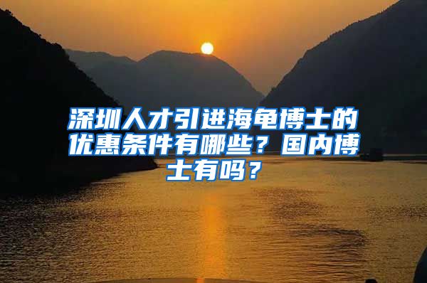 深圳人才引进海龟博士的优惠条件有哪些？国内博士有吗？