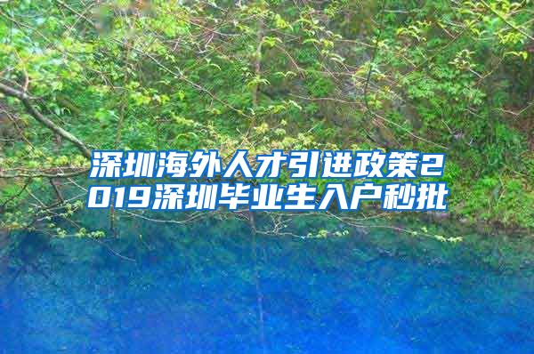 深圳海外人才引进政策2019深圳毕业生入户秒批