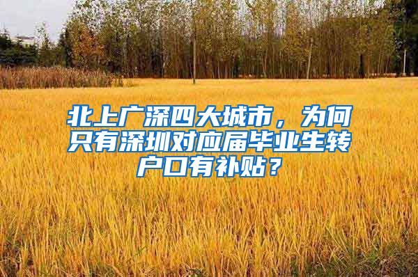 北上广深四大城市，为何只有深圳对应届毕业生转户口有补贴？