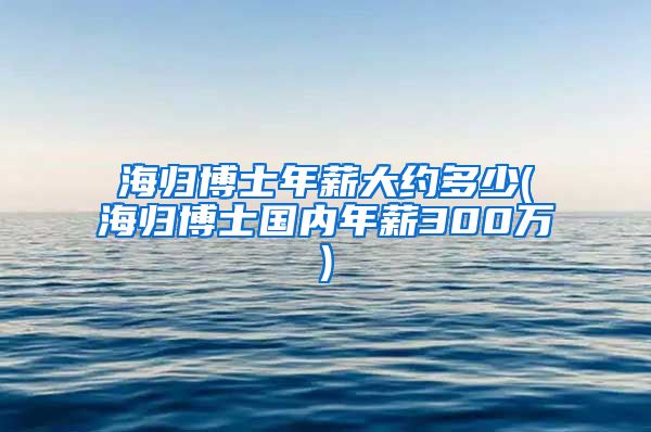 海归博士年薪大约多少(海归博士国内年薪300万)