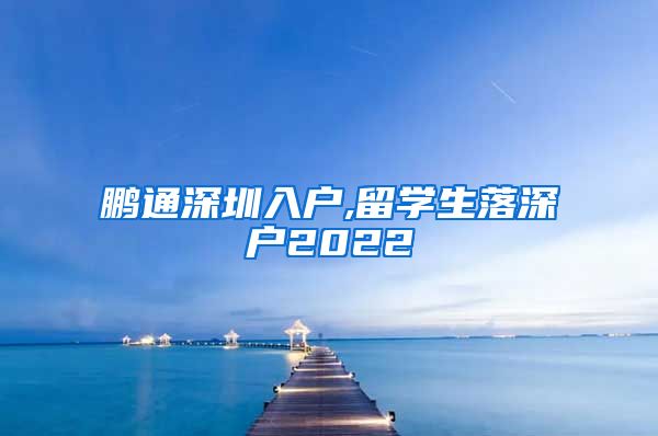 鹏通深圳入户,留学生落深户2022