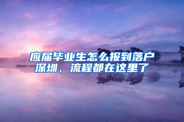 应届毕业生怎么报到落户深圳，流程都在这里了