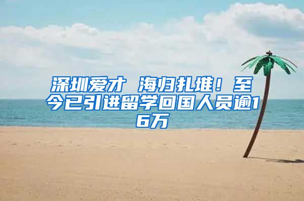 深圳爱才 海归扎堆！至今已引进留学回国人员逾16万