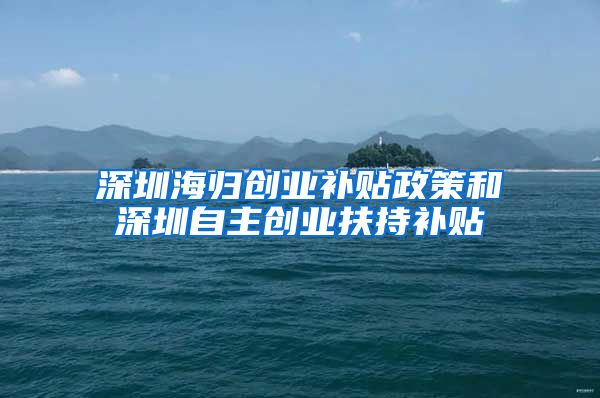 深圳海归创业补贴政策和深圳自主创业扶持补贴