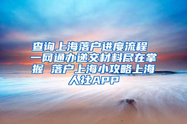 查询上海落户进度流程 一网通办递交材料尽在掌握 落户上海小攻略上海人社APP