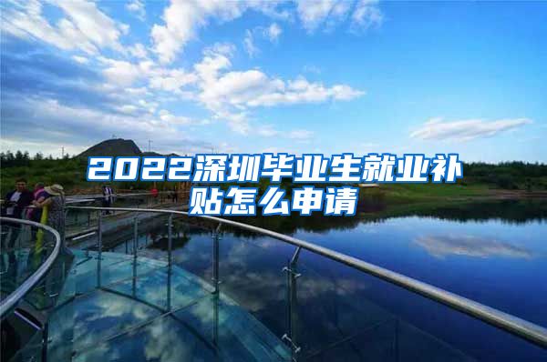 2022深圳毕业生就业补贴怎么申请