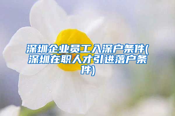 深圳企业员工入深户条件(深圳在职人才引进落户条件)