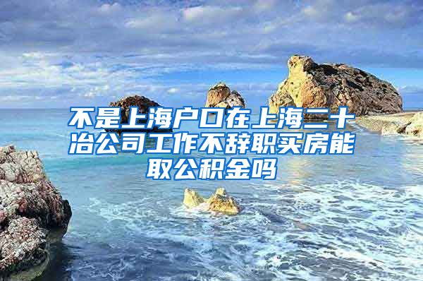 不是上海户口在上海二十冶公司工作不辞职买房能取公积金吗