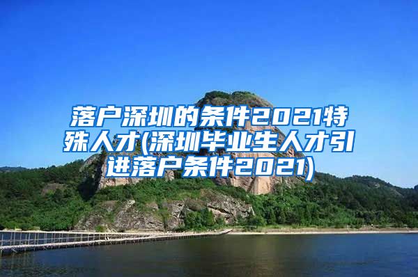 落户深圳的条件2021特殊人才(深圳毕业生人才引进落户条件2021)