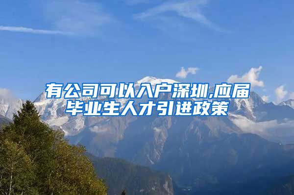 有公司可以入户深圳,应届毕业生人才引进政策