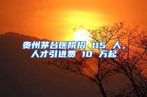 贵州茅台医院招 115 人，人才引进费 10 万起