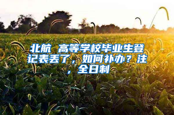 北航 高等学校毕业生登记表丢了，如何补办？注，全日制