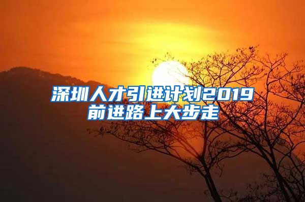 深圳人才引进计划2019前进路上大步走