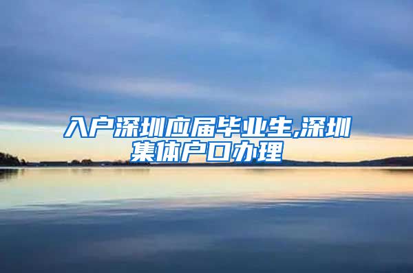 入户深圳应届毕业生,深圳集体户口办理