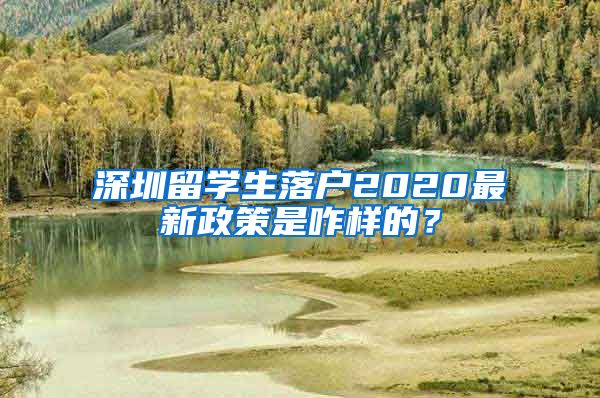 深圳留学生落户2020最新政策是咋样的？