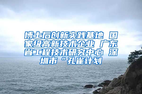 博士后创新实践基地 国家级高新技术企业 广东省工程技术研究中心 深圳市“孔雀计划