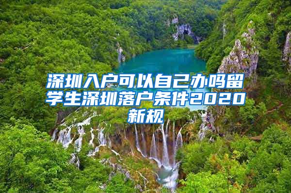 深圳入户可以自己办吗留学生深圳落户条件2020新规